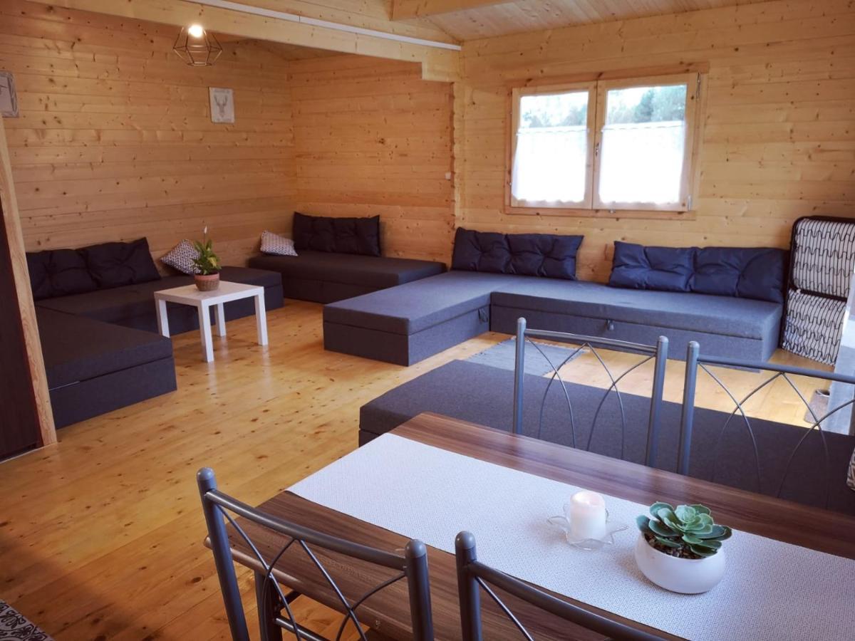 Lesnisko Apartment Niegowa Bagian luar foto